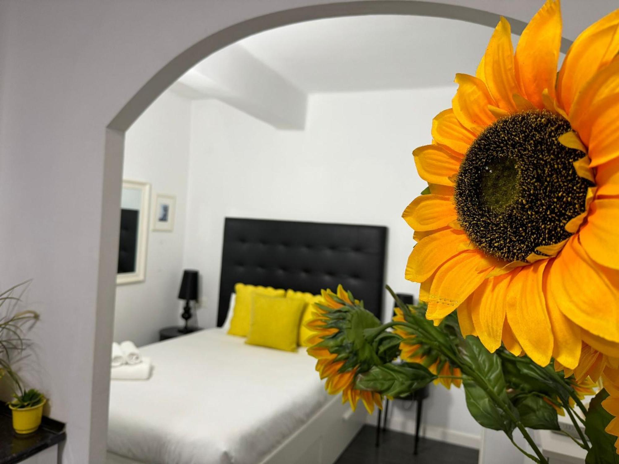 Apartament A 20 Pasos Del Museo Picasso Malaga Zewnętrze zdjęcie